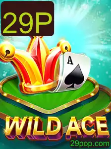 Explorando WildAce: O Novo Fenômeno dos Jogos de Cartas